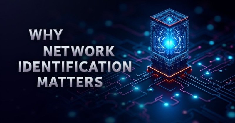 Why Network Identification Matters